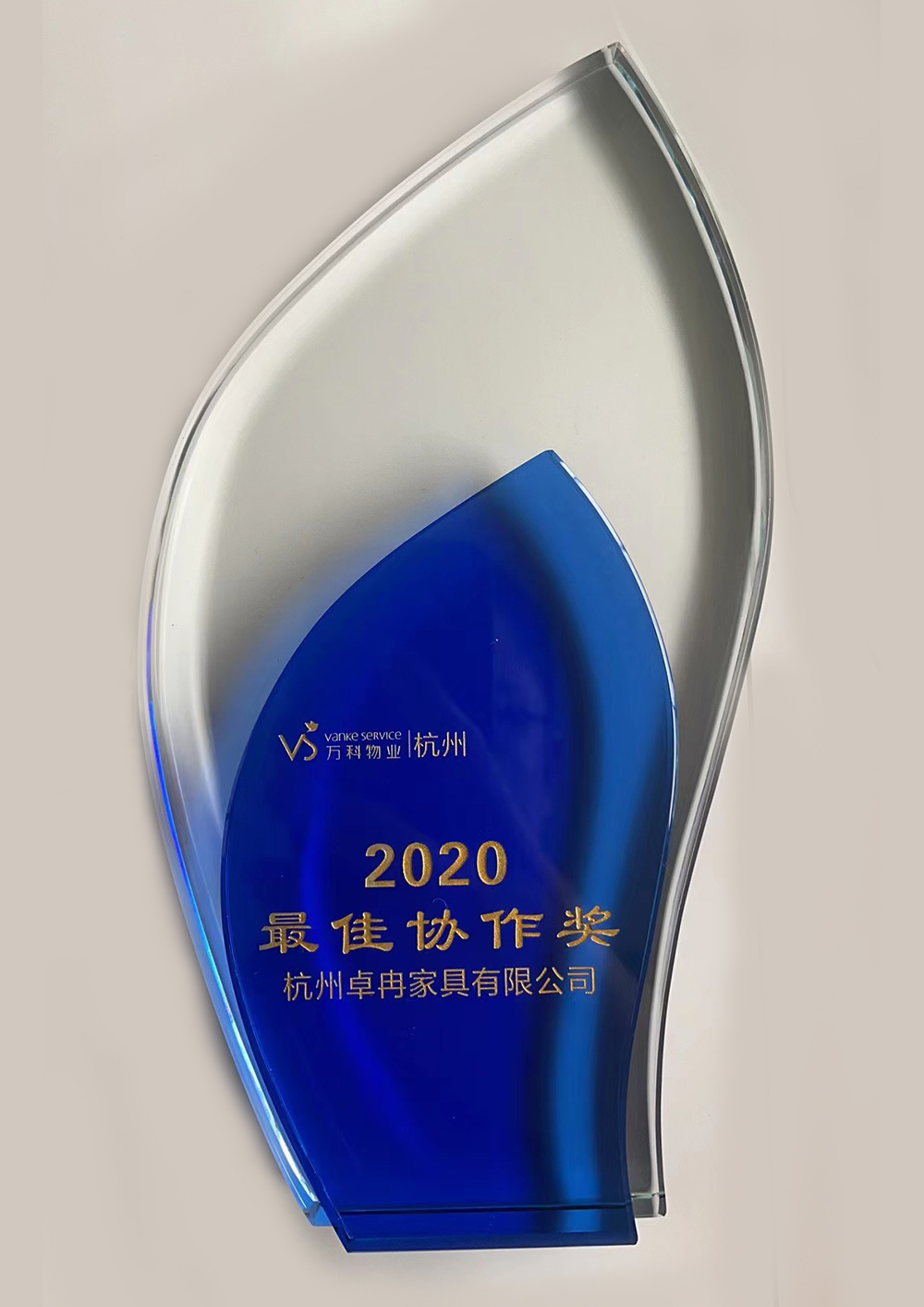 2020年最佳協(xié)作獎